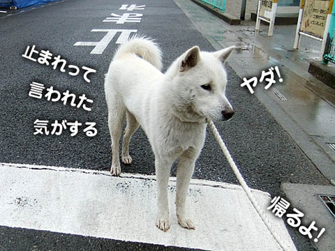 2011021305