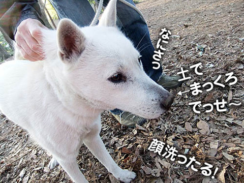 2011041509