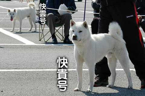 2011031402