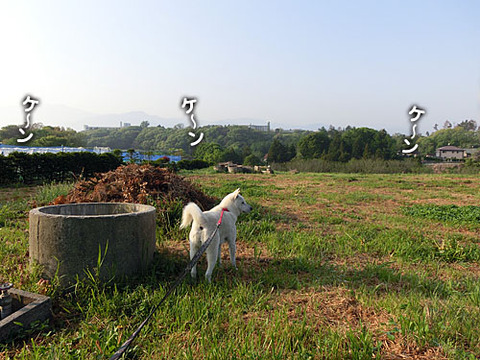 2013051602