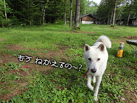 2013061818
