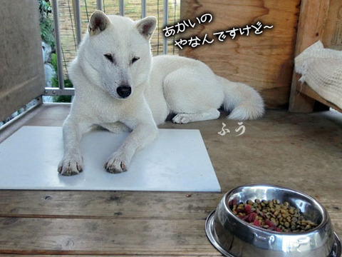 2013083105
