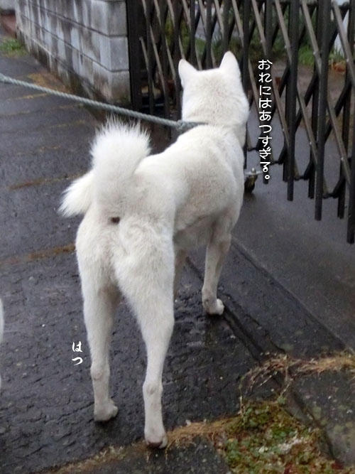 2015022302