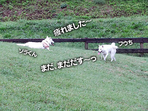 2011092409