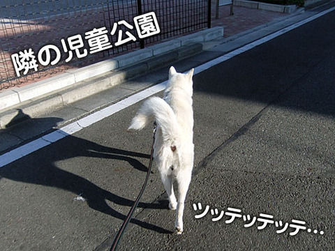 2011122801
