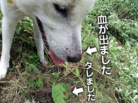 2011080114