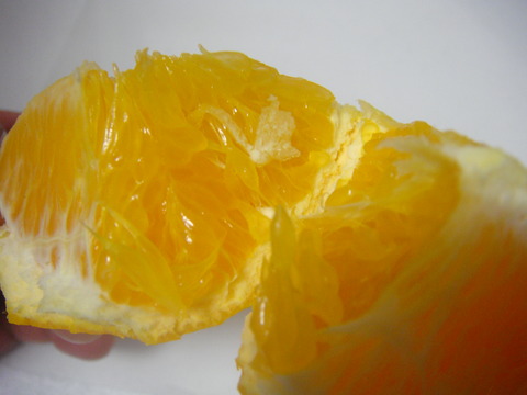 DSC03157
