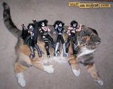 cats2