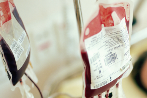 868a2049e5afed263e18087e3779f4a6