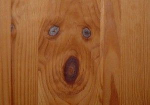 dog_2