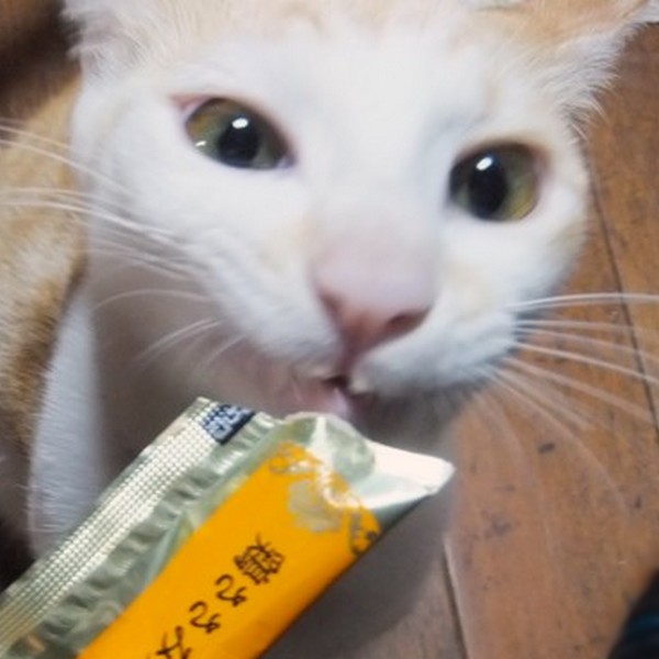 DSCF2658