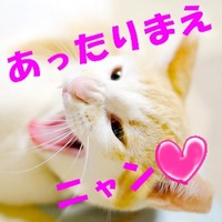 2dd5fcc6