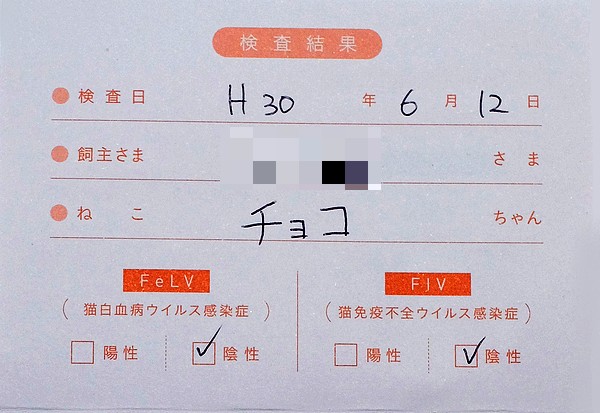 DSCF5236