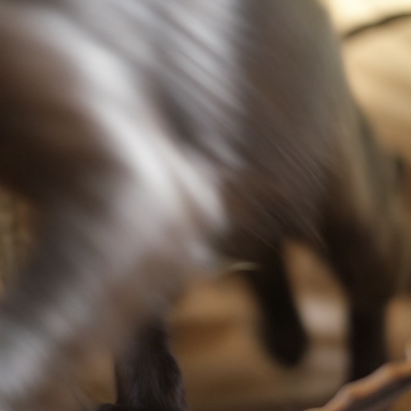 XT1A1520