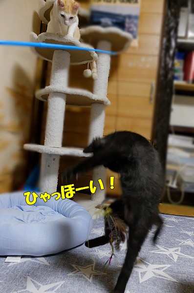 DSCF1460