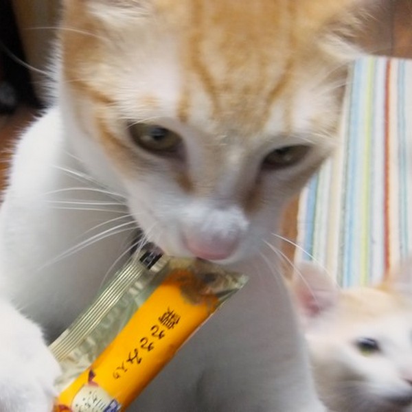 DSCF2656