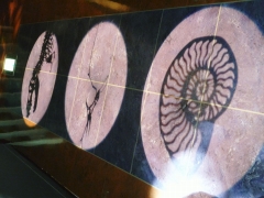 2c249264.jpg