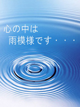 4324c30f.jpg