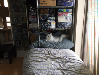 当然こうなる