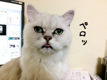 そしてこの顔である