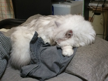 服の上