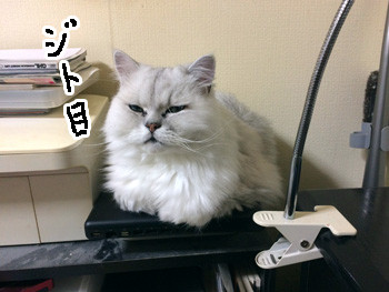 やめてもらえませんかね