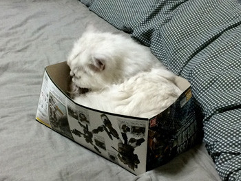 あんまり端に寄ってると