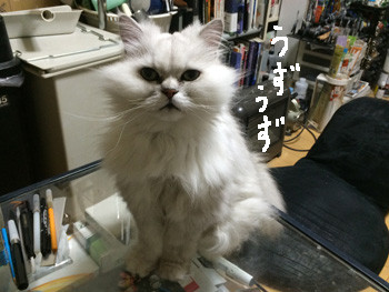 かまって欲しくて