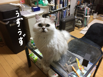 かまって攻撃