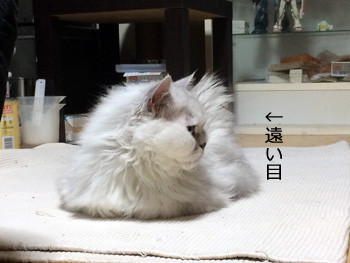 あーあの人かぁ