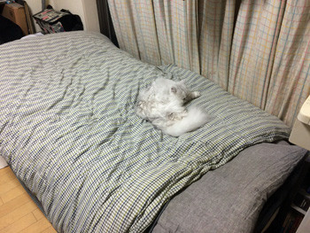微妙に横
