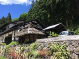 17052713ほっこりやませみ
