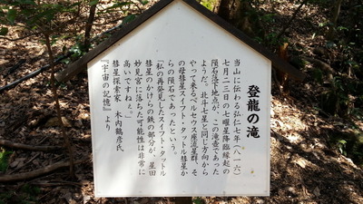 20130404_131938