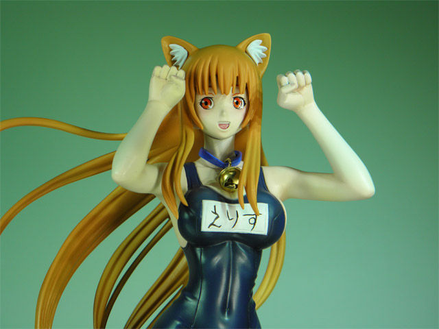 水着ガレオン 1/7スケールキット 水着ガレオン 1/7スケールキット Amazon.co.jp: ラップランド