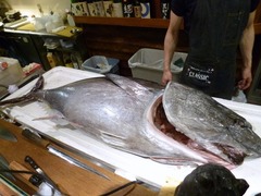 海さくら(都通店)_マグロ解体ショー1_201706