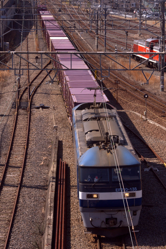 IMGP3307-001