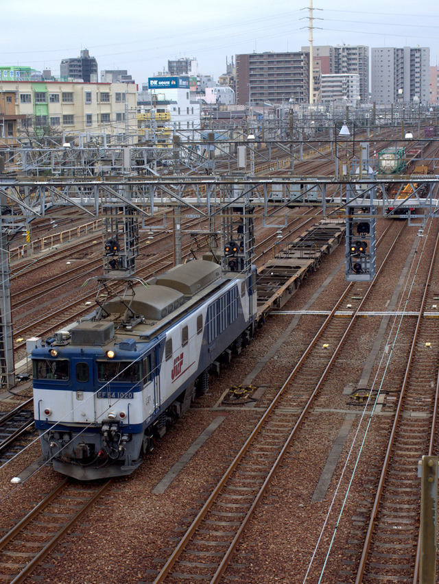 1-IMGP3321