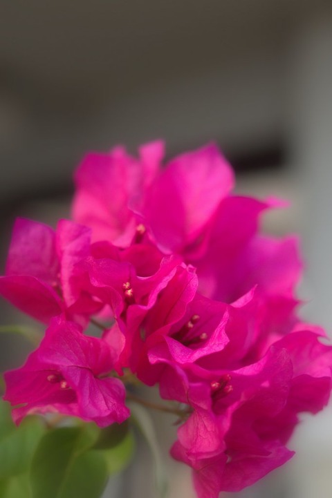 1-IMGP2389