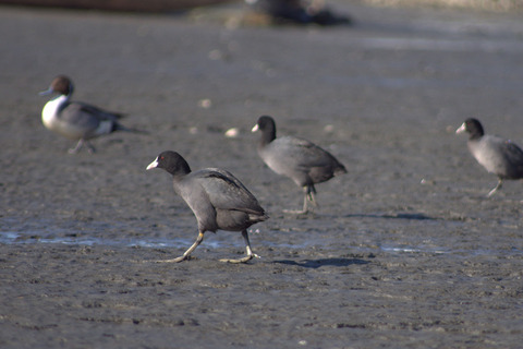 IMGP1489_s