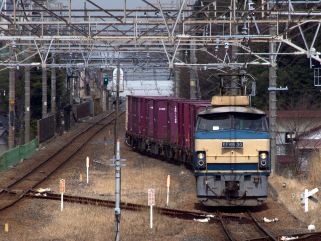 IMGP3496