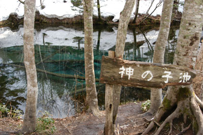 神の小池2