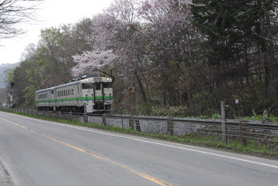 2sakura200