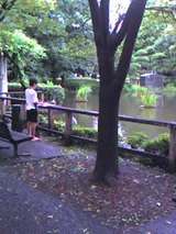 後谷公園で写生する少年