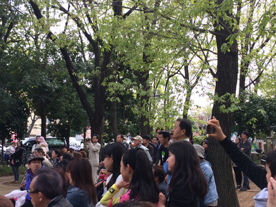 写真 2014-04-13 14 49 21