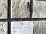 やさしい心遣い