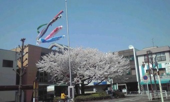 6a3df454.jpg