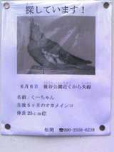 掲示板に貼られていた尋ね鳥