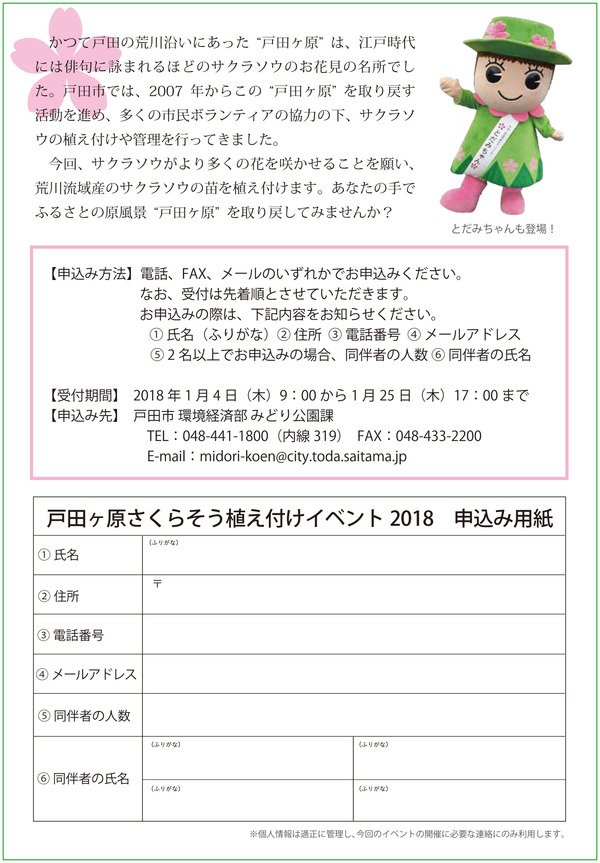 みんなで植えようサクラソウ2