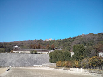 20120211-10