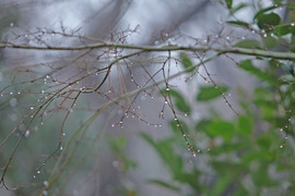 ���θ���